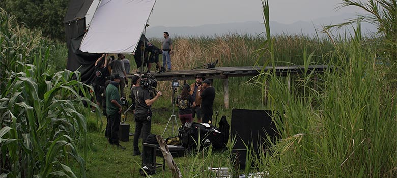 Balance IMCINE 2024: logros y retos del cine mexicano