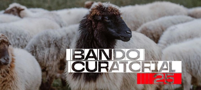 Bando Curatorial Veinticinco abre convocatoria