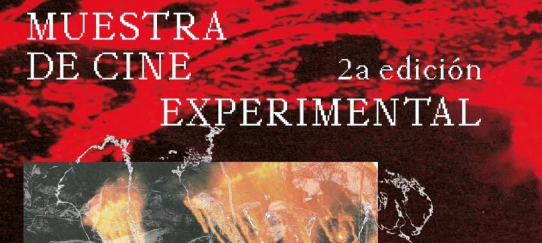 Muestra de Cine Experimental en Quer&eacute;taro: La resistencia de las pantallas