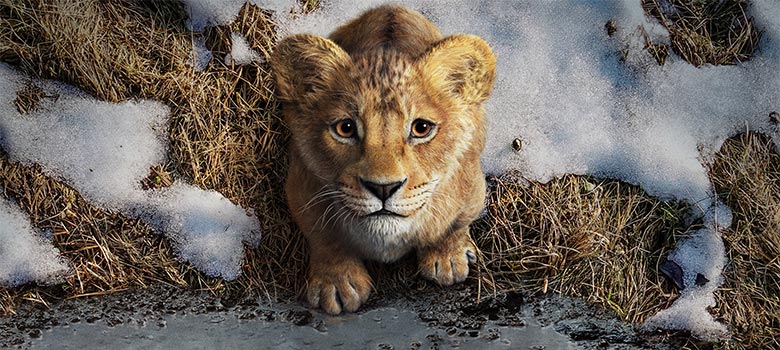 Disney revela primeras imágenes de Mufasa: El Rey León