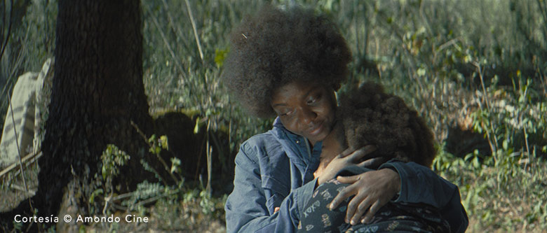 The Garden We Dreamed